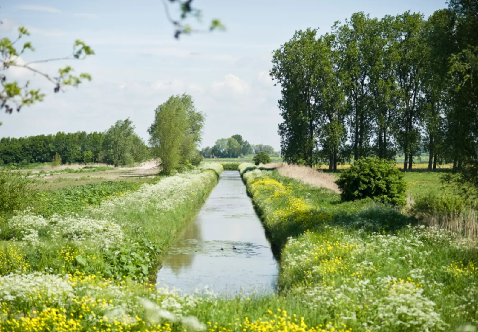 Bildschirmfoto 2025-04-10 155122.png